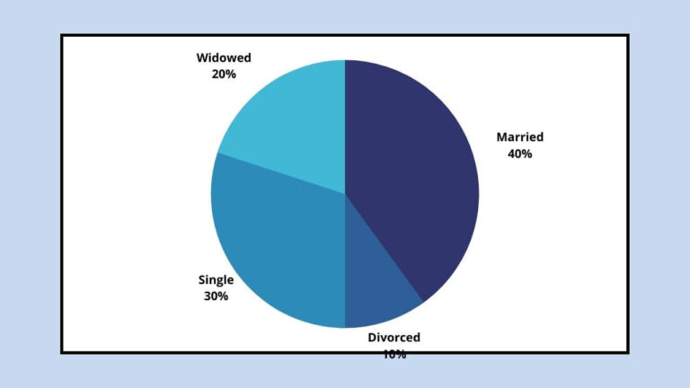 PIE CHART GRAPH