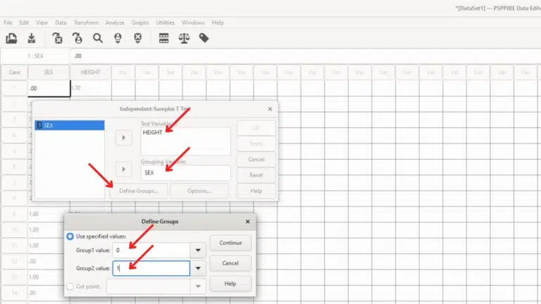 PSPP T-TEST