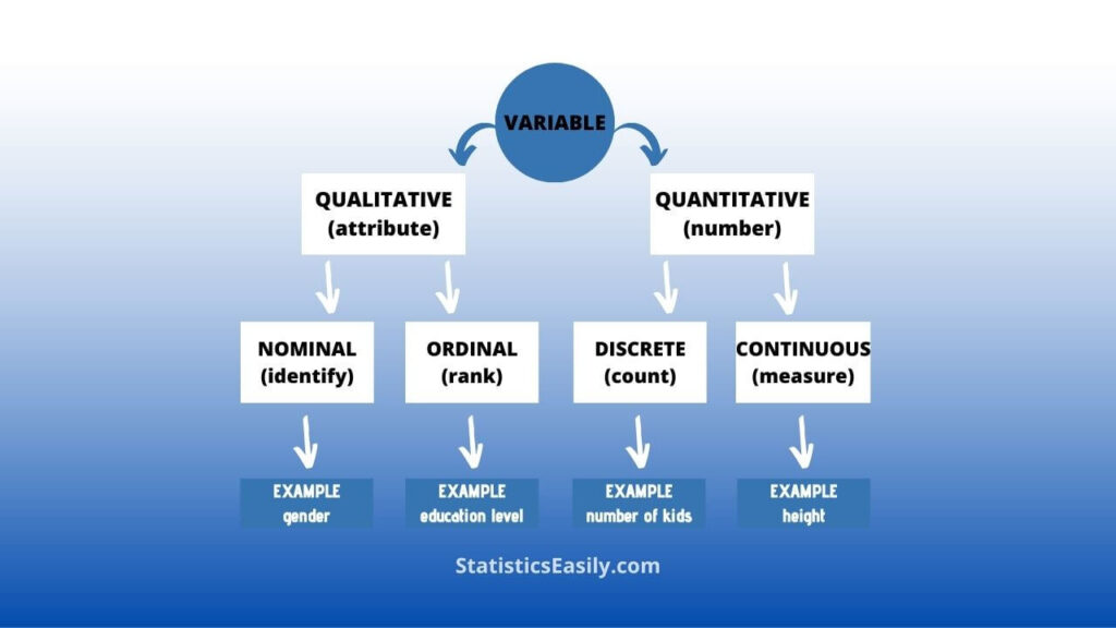 quantitative vs qualitative